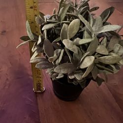 Artificial Potted Plant by ikea —Planta en maceta artificial de ikea