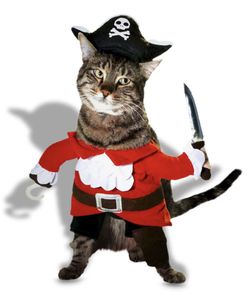 Pirate Pet Halloween Costume and Tie Collar