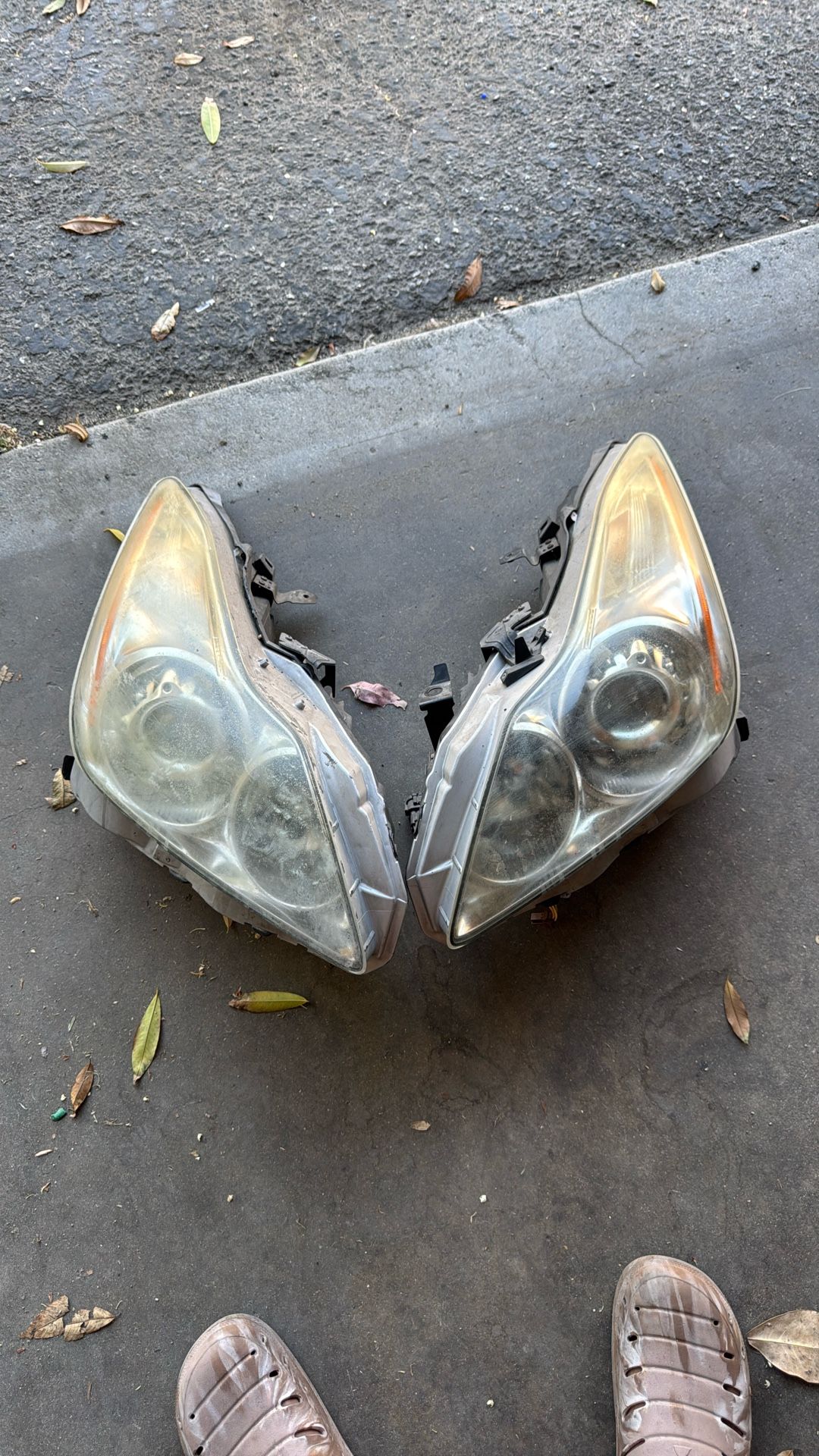G37 OEM Headlights
