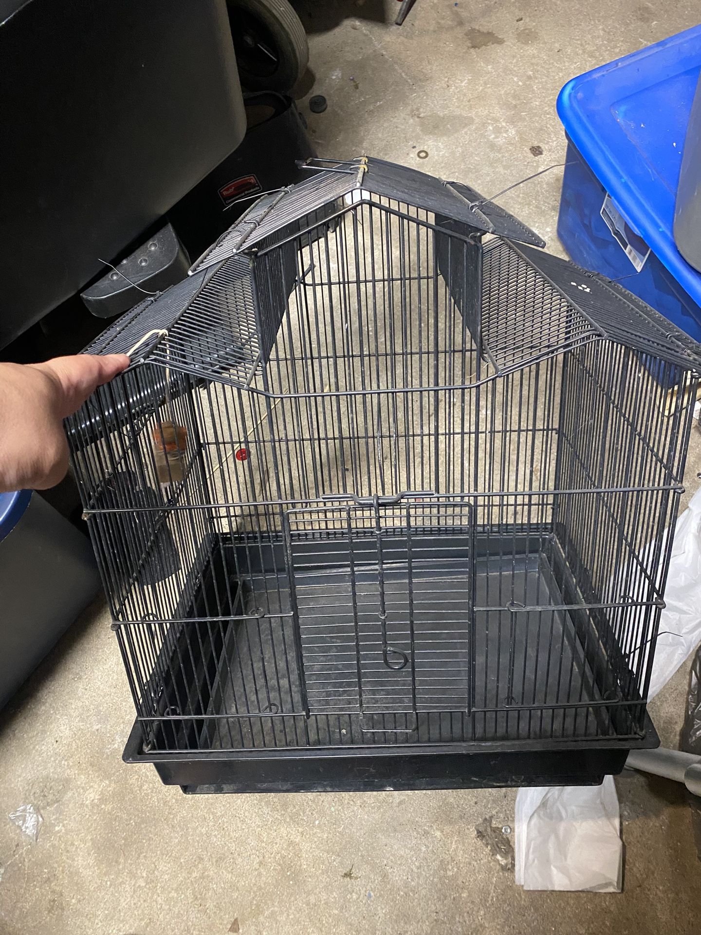 Bird Cage