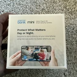 Blink indoor Mini