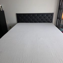 Leather Queen Size Bed 