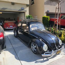 1964 Volkswagen Beetle
