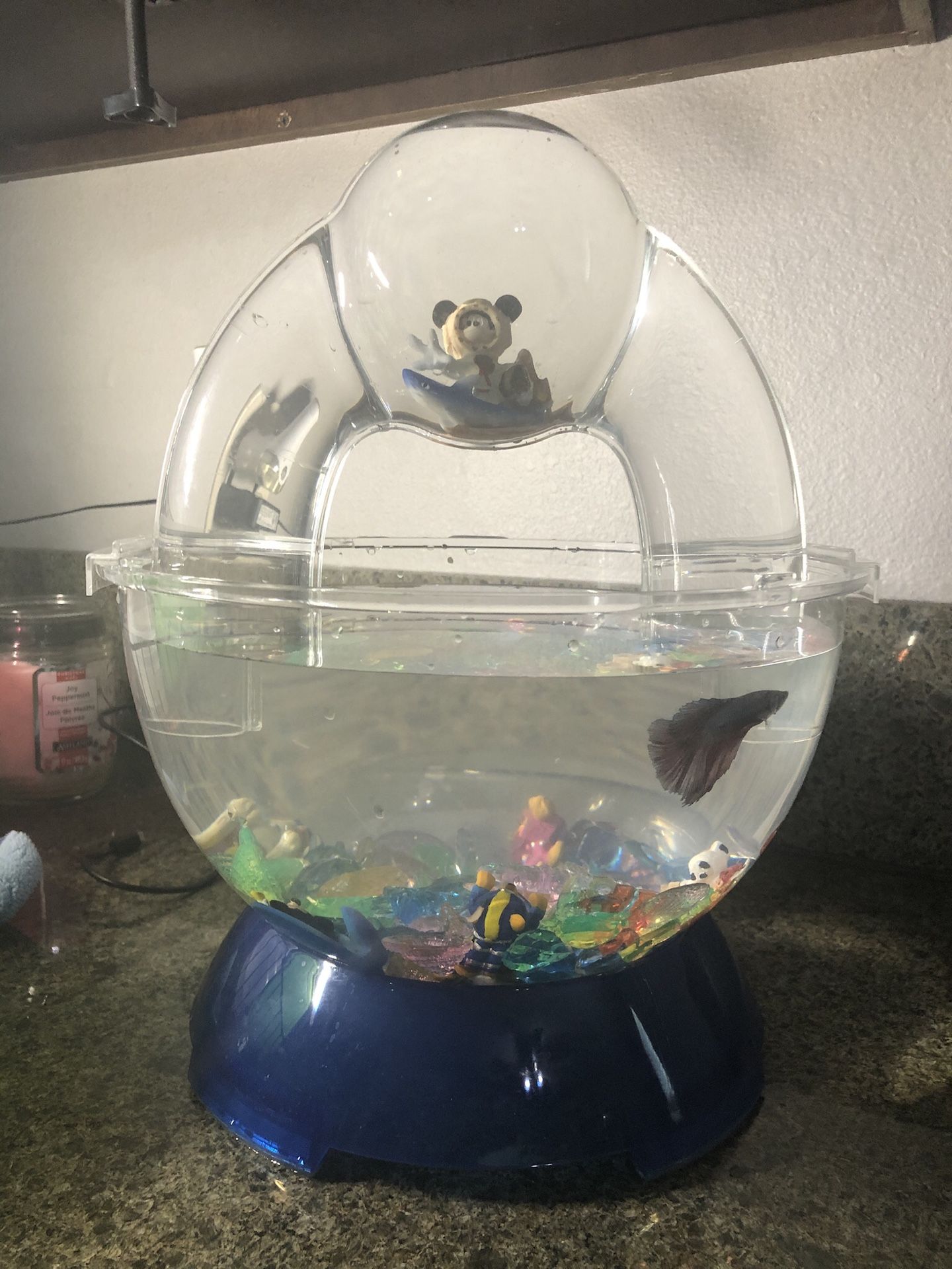 Betta Fish BioBubble Tank W/ Extras