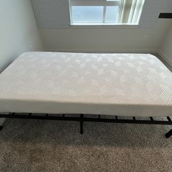 10 Inch lucid XL Twin 