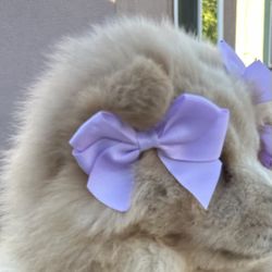 PUPPY fur Bows