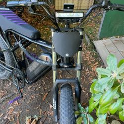 ridstar Q20 legal bike