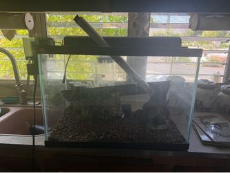 20 gallon Glass aquarium.