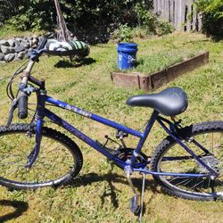 Huffy Blue Ridge Mountain Bike