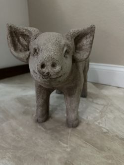 Cute Little Piglet