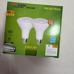 Value Pack of two OptoLight LED  Light Bulbs,