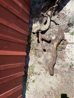 Aquarium Drift wood  Medium to Large