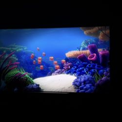 85 Inch Samsung Qn90b 