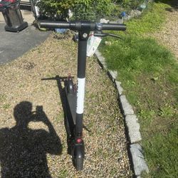 GoTrax Scooter