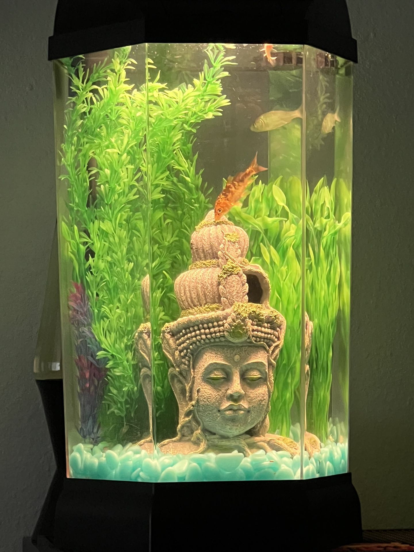 Acrylic Octagon Fish Tank