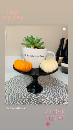 Home decor plants 🌱