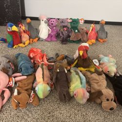 Beanie Baby Collection