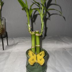 Bamboo Stalks (two) In Green Vase With Butterfly 