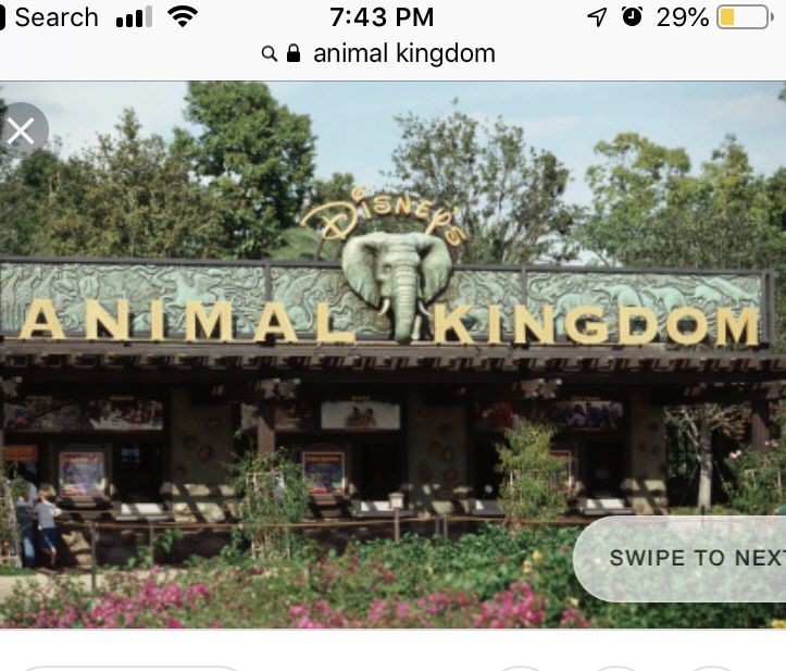 Necesito Entradas para Animal Kingdom