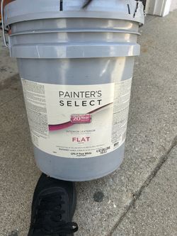 Painter's Select Flat Interior/Exterior Paint 5 Gallon