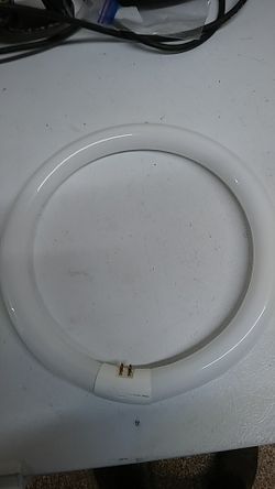 Phillips T9, 32 Watt, 12 Inch, Light Bulb