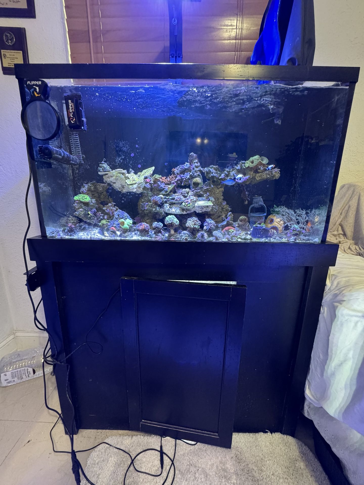 40 Gl Special Edition Fish Tank