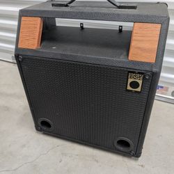Raezer's Edge Stealth 12  Guitar Amp Speaker Cabinet 