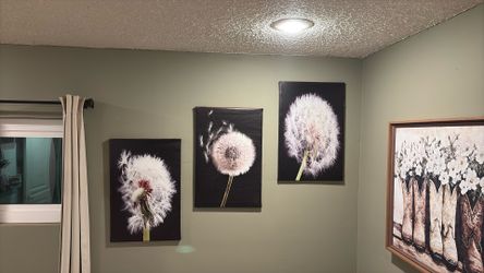 Dandelion Pictures