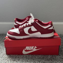 Red Nike Dunks 