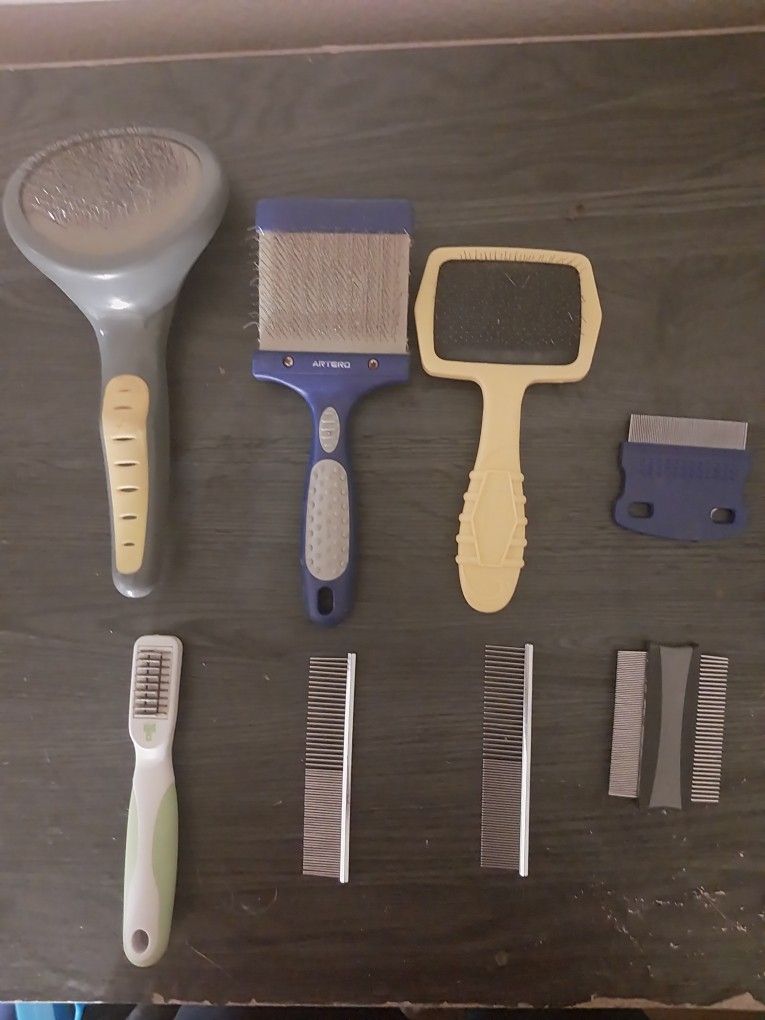 Assorted Dog Brushes And Combs