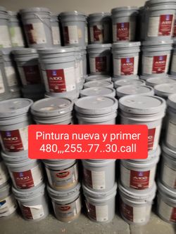 Paint and primer