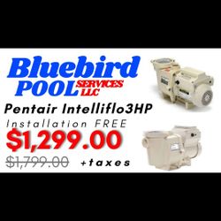 POOL PUmp RECONDITIONED 1 YEAR WARRANTY
