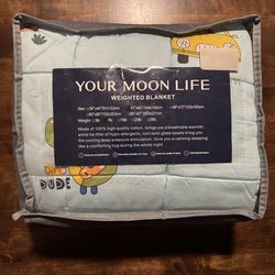 Kids Dino Weighted Blanket NEW