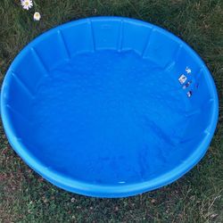42" Plastic Kid Dog Kiddie Wadding Swimming Pool Made in USA
