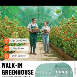 Walk-in Tunnel Greenhouse 19.36x9.68x6.5ft Galvanized Frame PE Cover Green