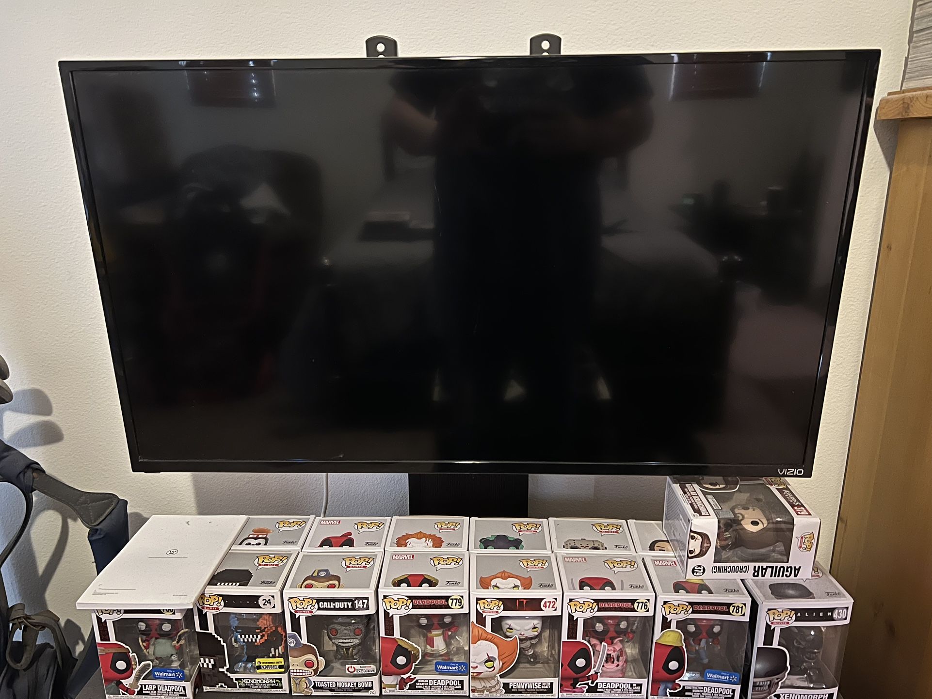 44 Inch Vizio TV