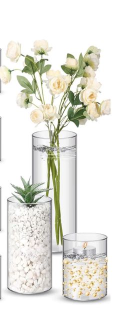 Clear Glass Cylinder Vases