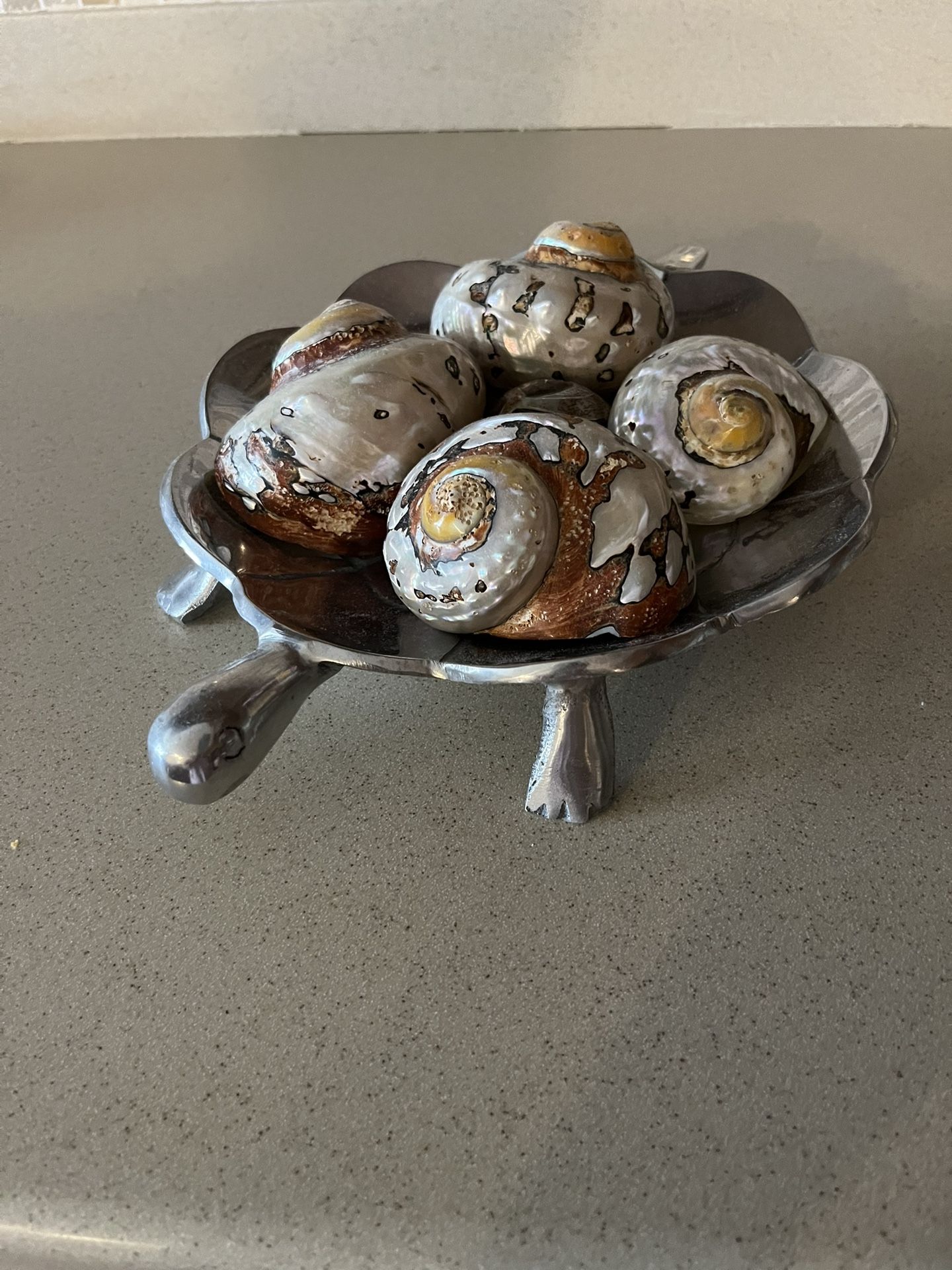 Turtle Dish With Conch Shells