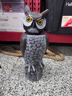 Owl bird deterrent