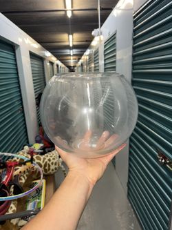 Fish Bowls