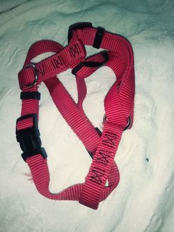 Medium and small dog collar.