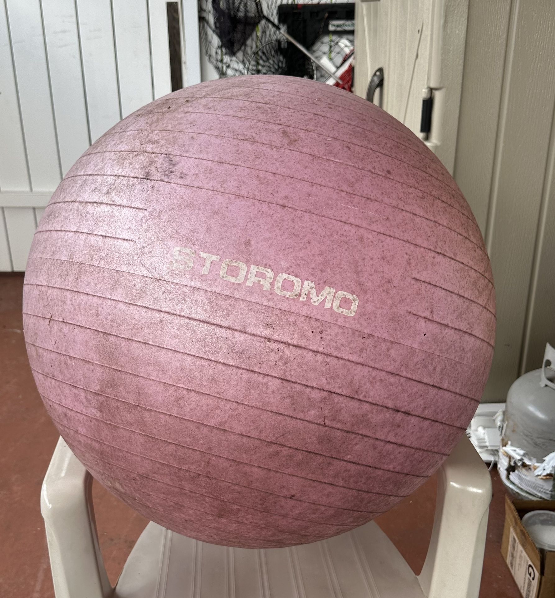Excercise Ball
