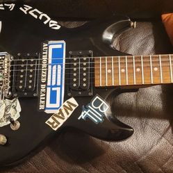 Electric Guitar And Bass Setups / Luthier Work