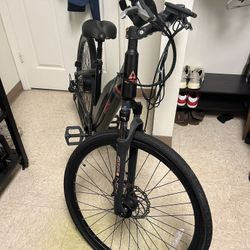 Ascend E-bike 