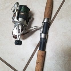 Fishing Pole Combo Abu Garcia/Penn