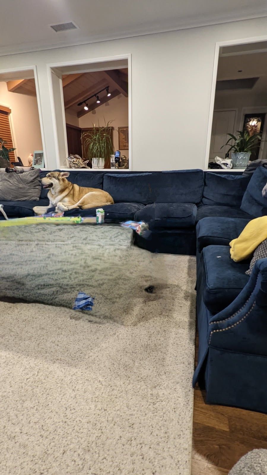 Blue swade L Couch