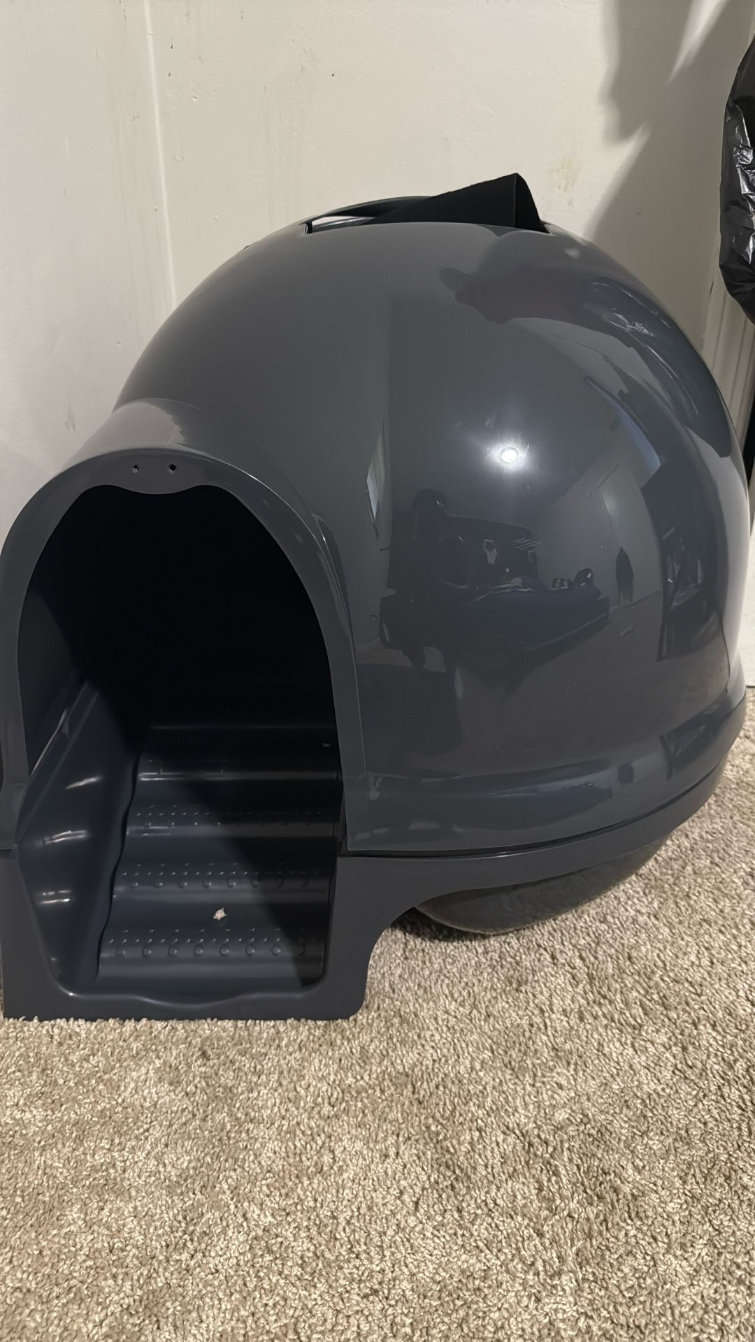 Cat Litter Box