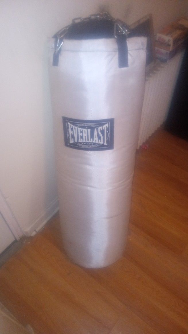 Everlast Punch Bag