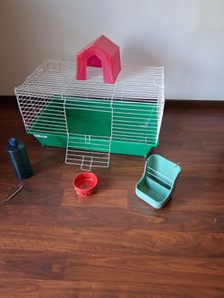 Guinea pig cage