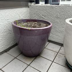 Purple Large Ceramic Pot 
